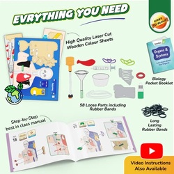 Smartivity INTERACTIVE HUMAN BODY SMRT1334